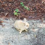 Blythe Island Recreational park