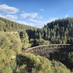 Lincoln National Forest