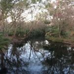 Silver Springs RV Park