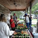 Wild Frontier RV Resort LLC