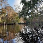 Thousand Palms RV Resort