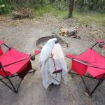 Matanzas State Forest Cedar Creek Campground