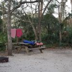 Tomoka State Park Campground