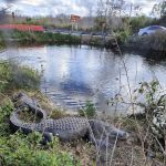 Big Cypress National Preserve