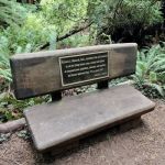 Redwood National Park