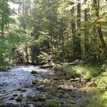 Roaring River Group Campground