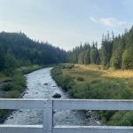 Sunnyside Campground