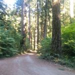 Limberlost Campground