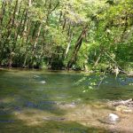 Horse Creek Group Campground