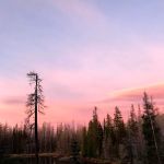 Lava Camp Lake Campground