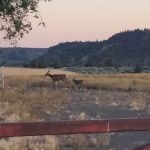 Crooked River Campground