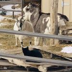 Captains Quarters Private Campground & Hobby Farm