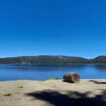 Newberry Group Camp Site