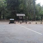 Grizzly Creek Redwoods Campground