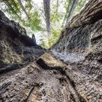 Lady Bird Johnson Grove Trail