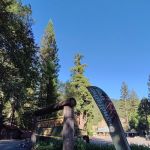 Madrone Campground