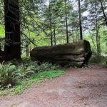 Mill Creek Campground