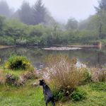 Azalea Glen Rv Park Campground