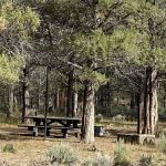 Shafter Campground