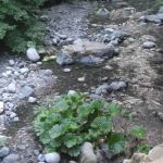 Rush Creek Campground