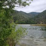 Cooper Gulch Campground