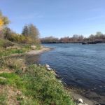 Sycamore Grove Campground