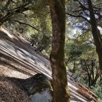 Brandy Creek Campground