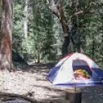 Goldfield Campground