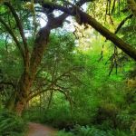 Elk Prairie Campground