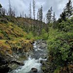 Secret Creek Campground