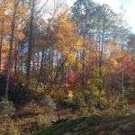 Nantahala RV Resort & Campground