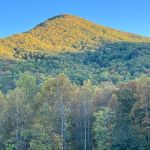 Long Ridge Campground