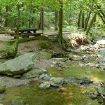 Tallulah River Campground