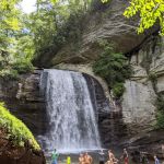 Pisgah National Forest