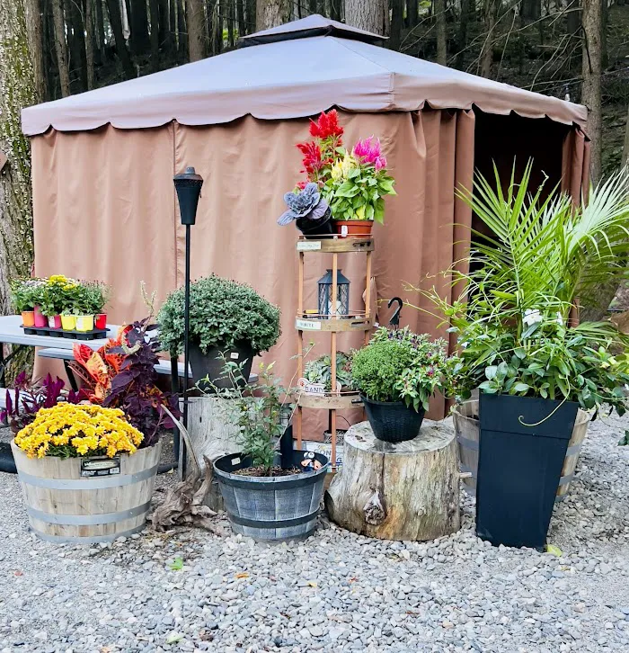 Mountain Air Campground 0