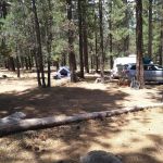 Buttercup Group Campground