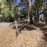 Cedar Grove Group Campground