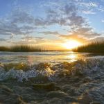 Lake Havasu State Park