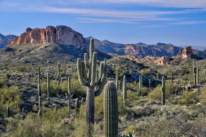 Tonto National Forest 8
