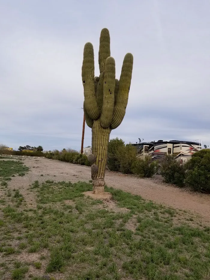Desert Vista RV Resort 2