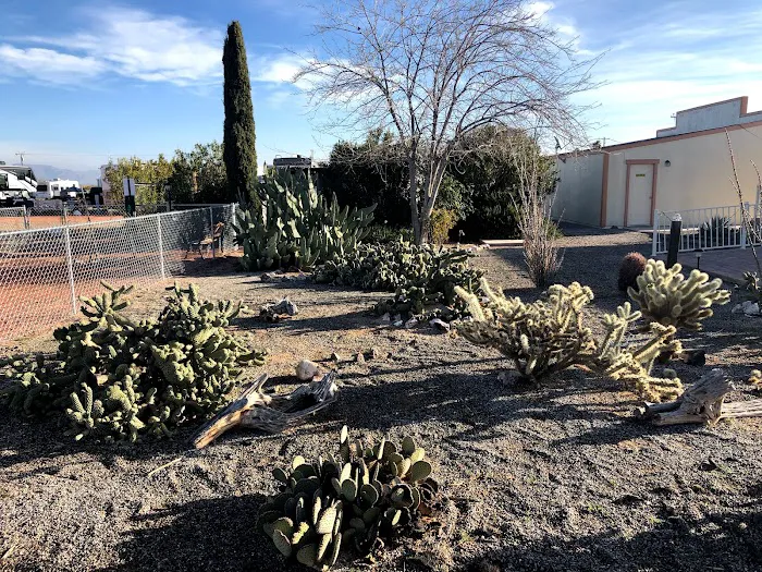 Desert Vista RV Resort 4