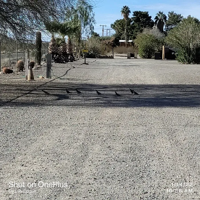 Desert Vista RV Resort 5