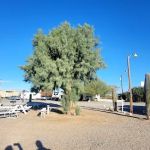 3 Dreamers rv park