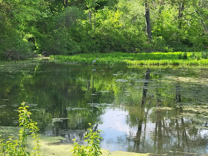 Frances Slocum State Park Campground 1