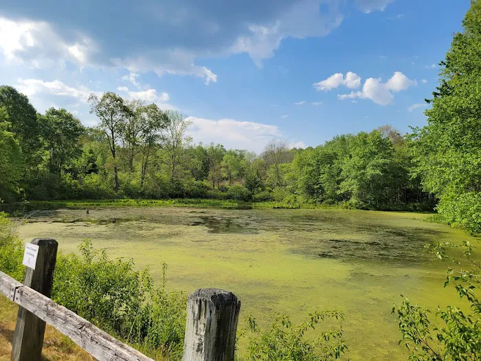 Frances Slocum State Park Campground 3