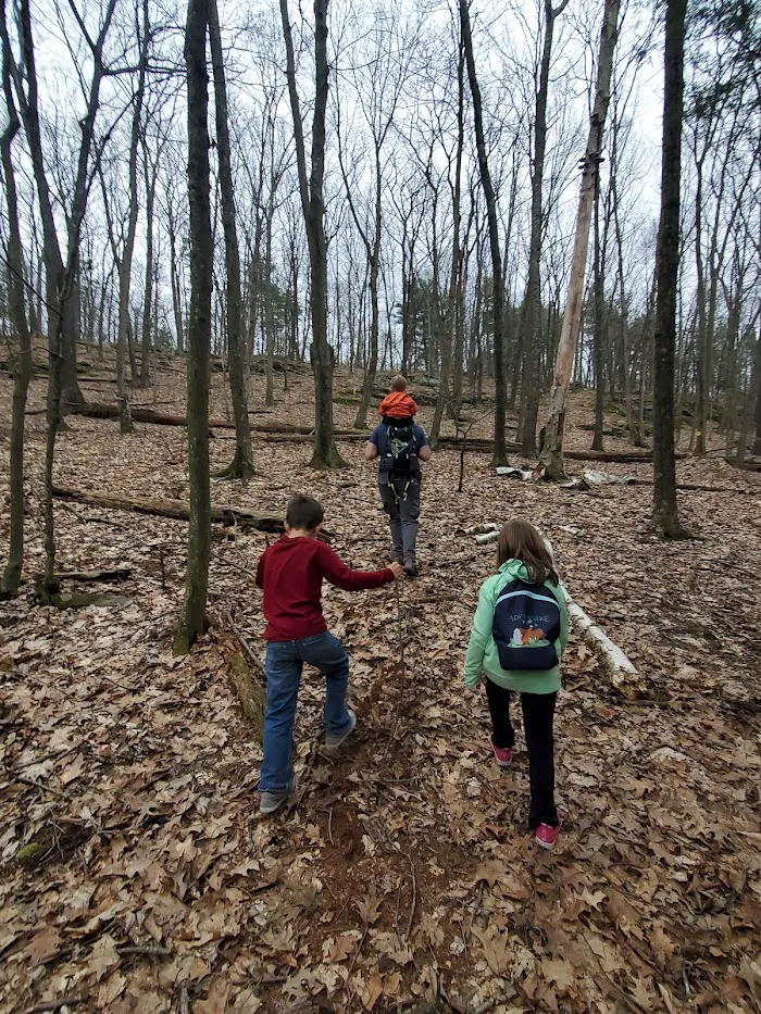Frances Slocum State Park Campground 2