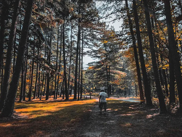 Berryman Campground 3