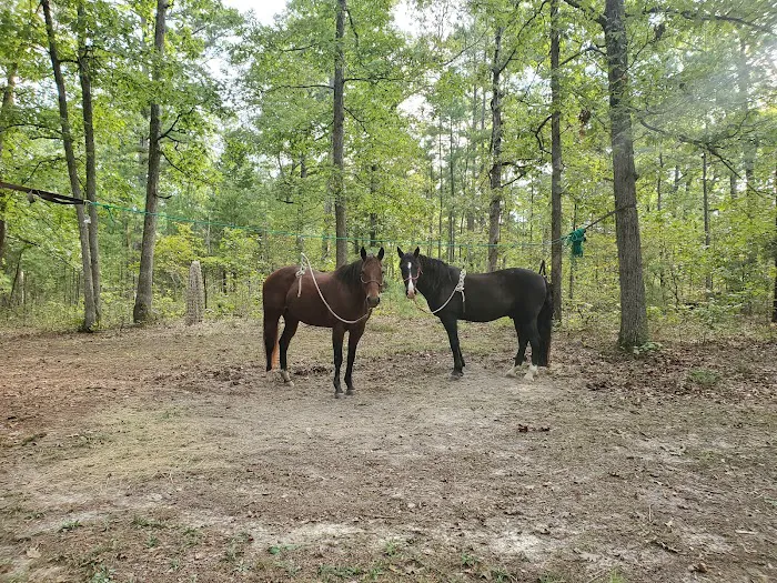 Berryman Campground 6