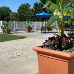 Big Creek RV Park/ Arcadia Meadow Campground LLC