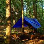 Upper Poly Branch Campsite